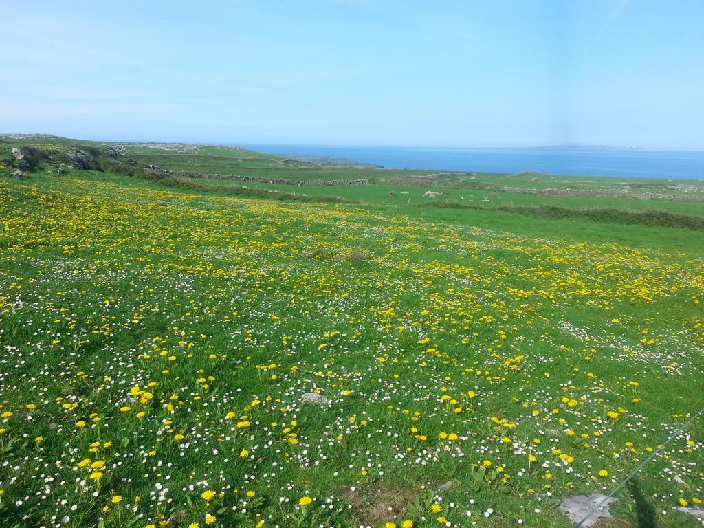 Aille River Tourist Hostel And Camping Doolin Exterior foto